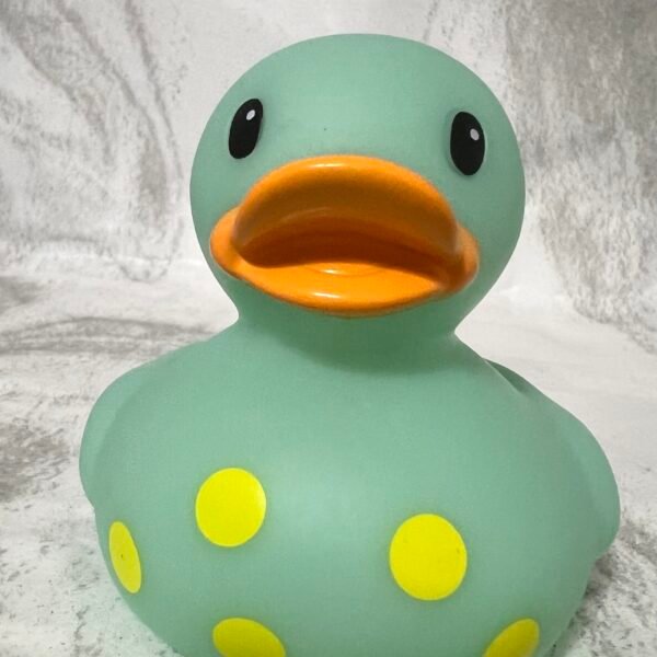 Cute  Rubber Duck